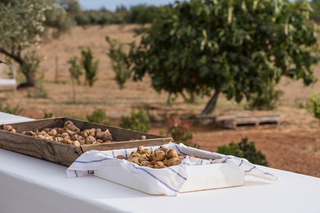 Affittacamere Pensao Agricola Cabanas De Tavira Esterno foto