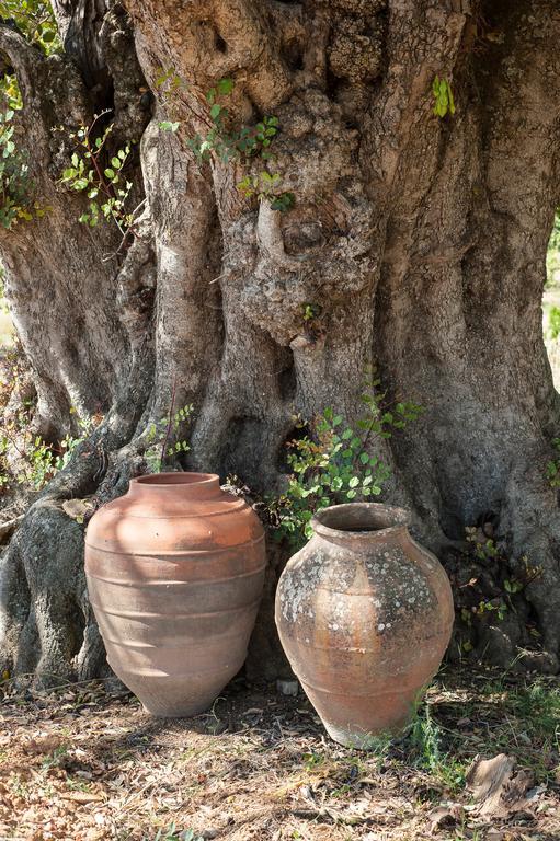 Affittacamere Pensao Agricola Cabanas De Tavira Esterno foto