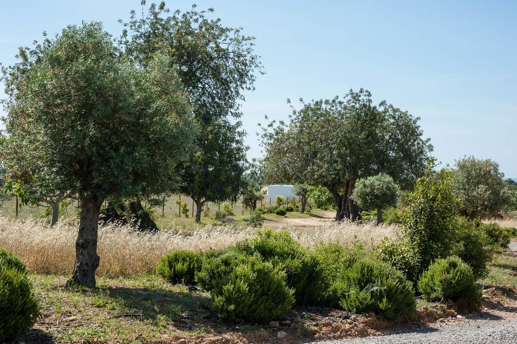 Affittacamere Pensao Agricola Cabanas De Tavira Esterno foto